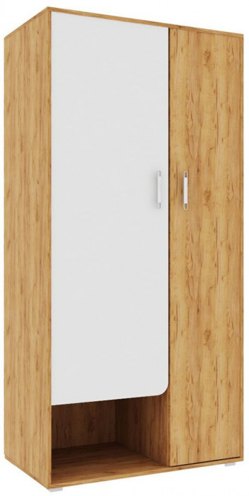 Дастин Шкаф распашной Дуб Крафт золотой / Белая Аляска