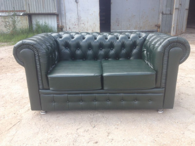 Честер  2-х местный 10 цветов матовые и глянцевые